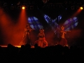 hyb_6806-800x600